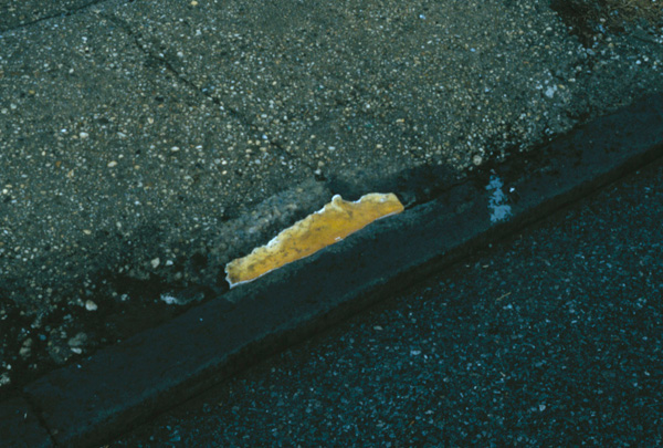 1_yellowpuddle.in_site