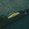 1_yellowpuddle.in_site thumbnail